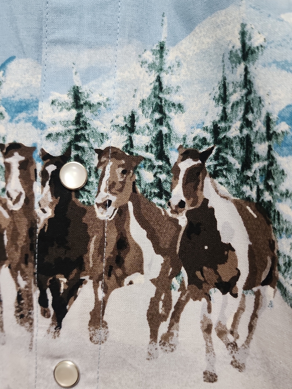 Panhandle Western Cowboy Horse Print Boys Shirt - Picture 8 of 8